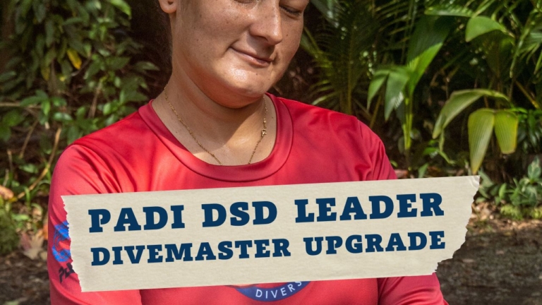 PADI DSD Leader Divemaster Qualifications Upgrade