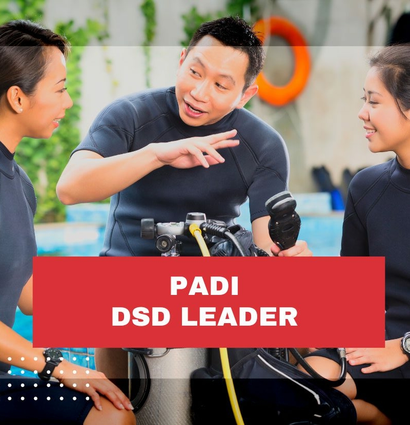 PADI-DSD-Leader Divemaster-Qualifications-Upgrade-costa-rica