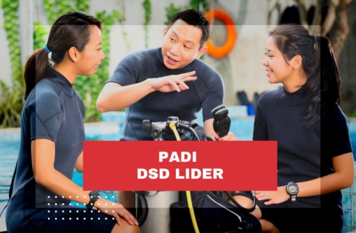 PADI-DSD-Lider-Actualización-de-Divemaster