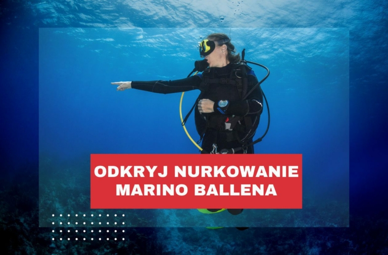 odkryj-nurkowanie-w-kostaryce-marino-ballena