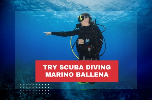 try-scuba-diving-costa-rica-marino-ballena