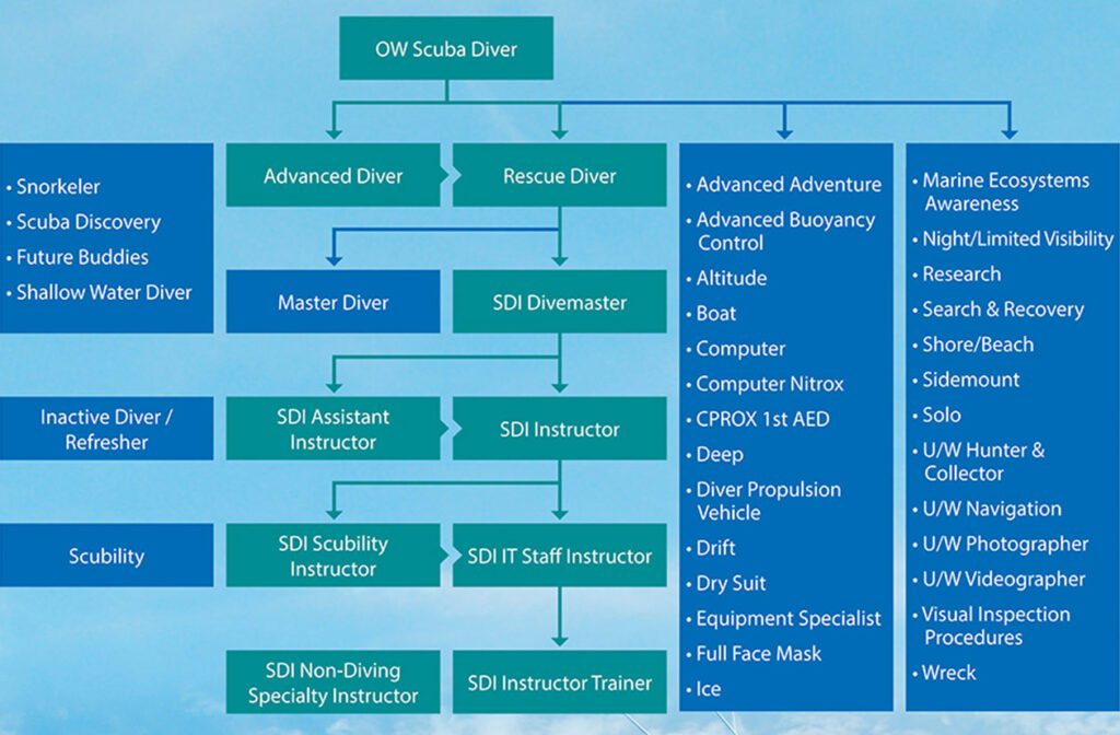 SDI-courses-chart