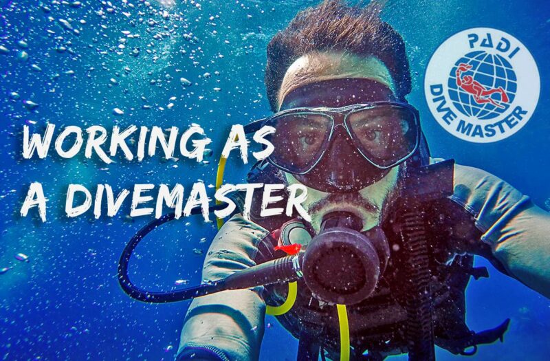 how-to-become-a-padi-divemaster