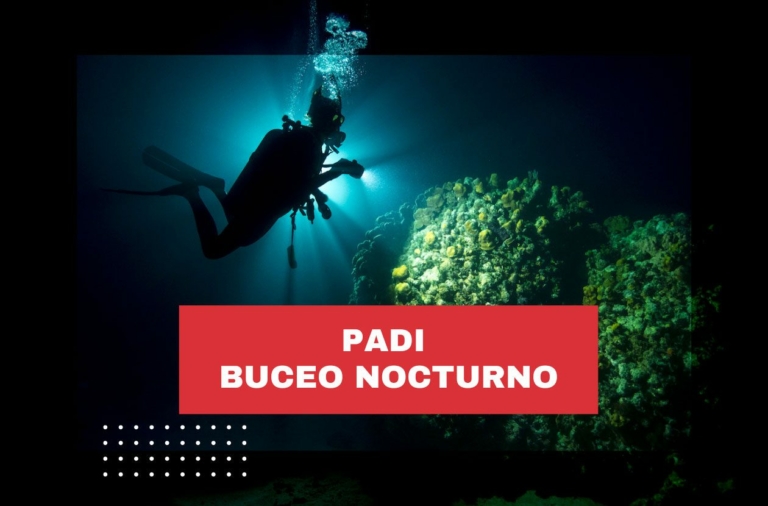 padi-buceo-nocturno-costa-rica