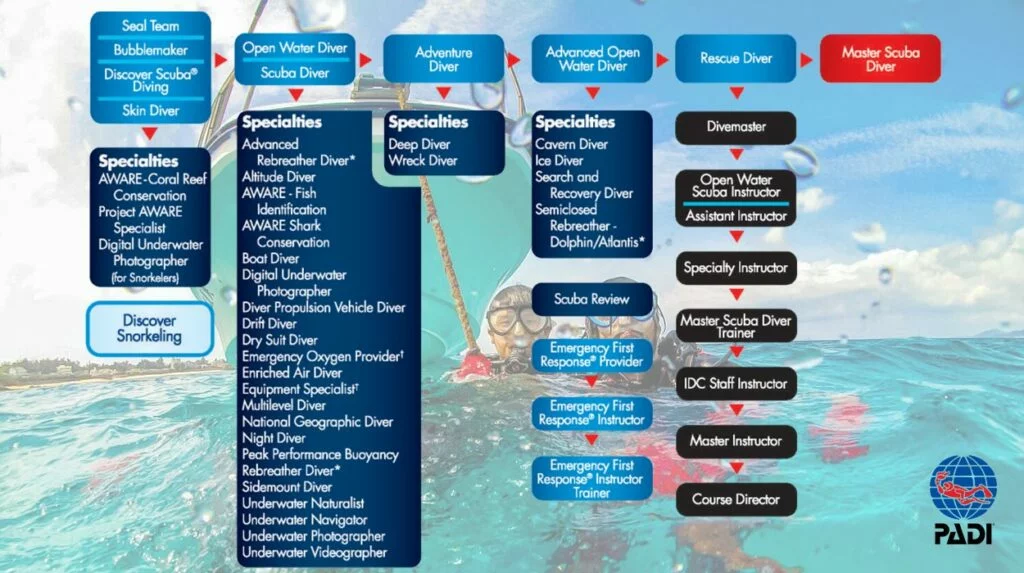 padi-courses-chart