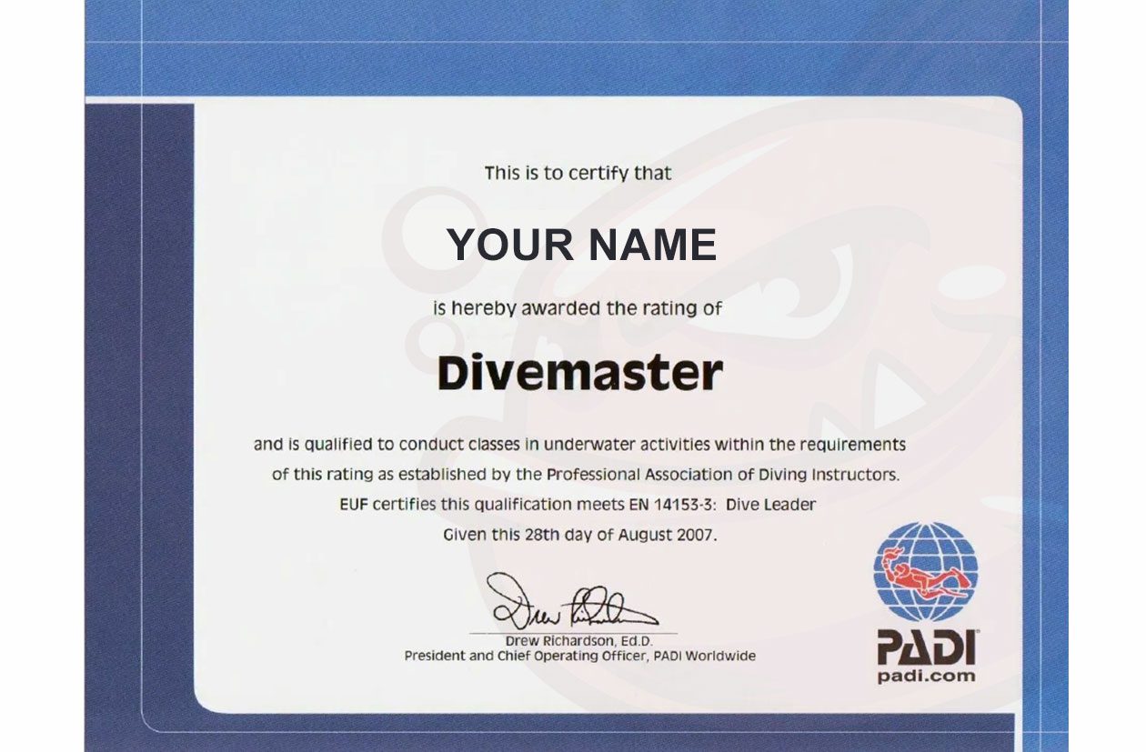 Curso PADI Divemaster | Guía Suprema