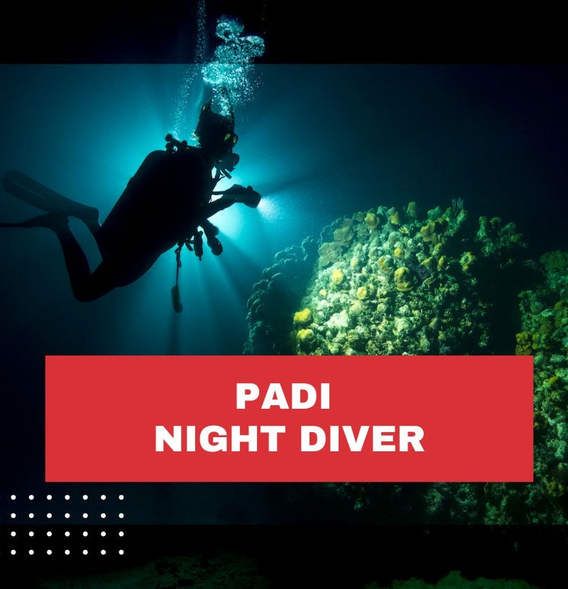 padi-night-diver-costa-rica