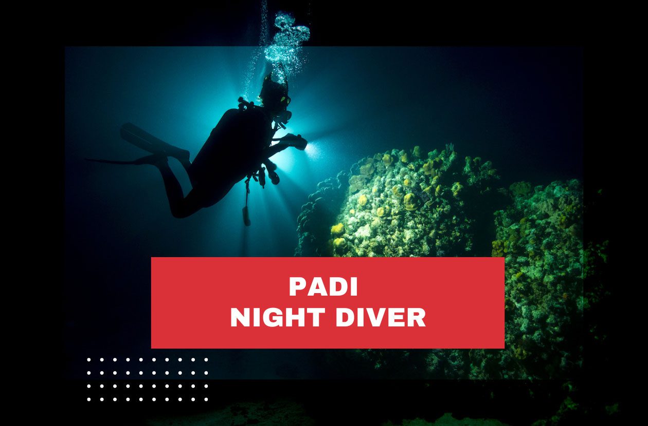 padi-night-diver-costa-rica