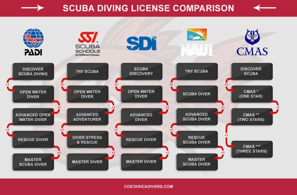 Scuba diving license comparison - best scuba diving certification