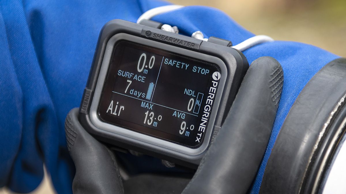 Best Dive Computer for a Beginner Shearwater Peregrine