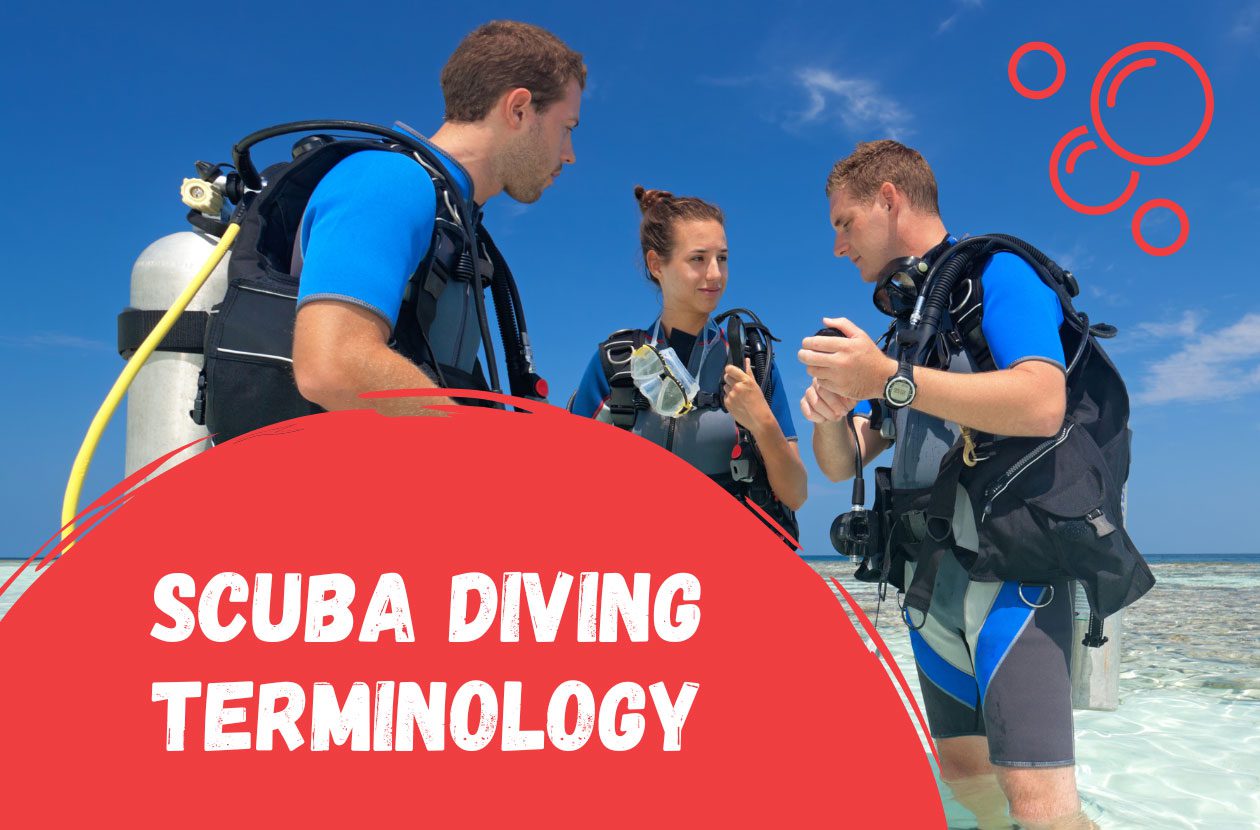 Diving-Terminology-or-Speak-Like-a-Diver