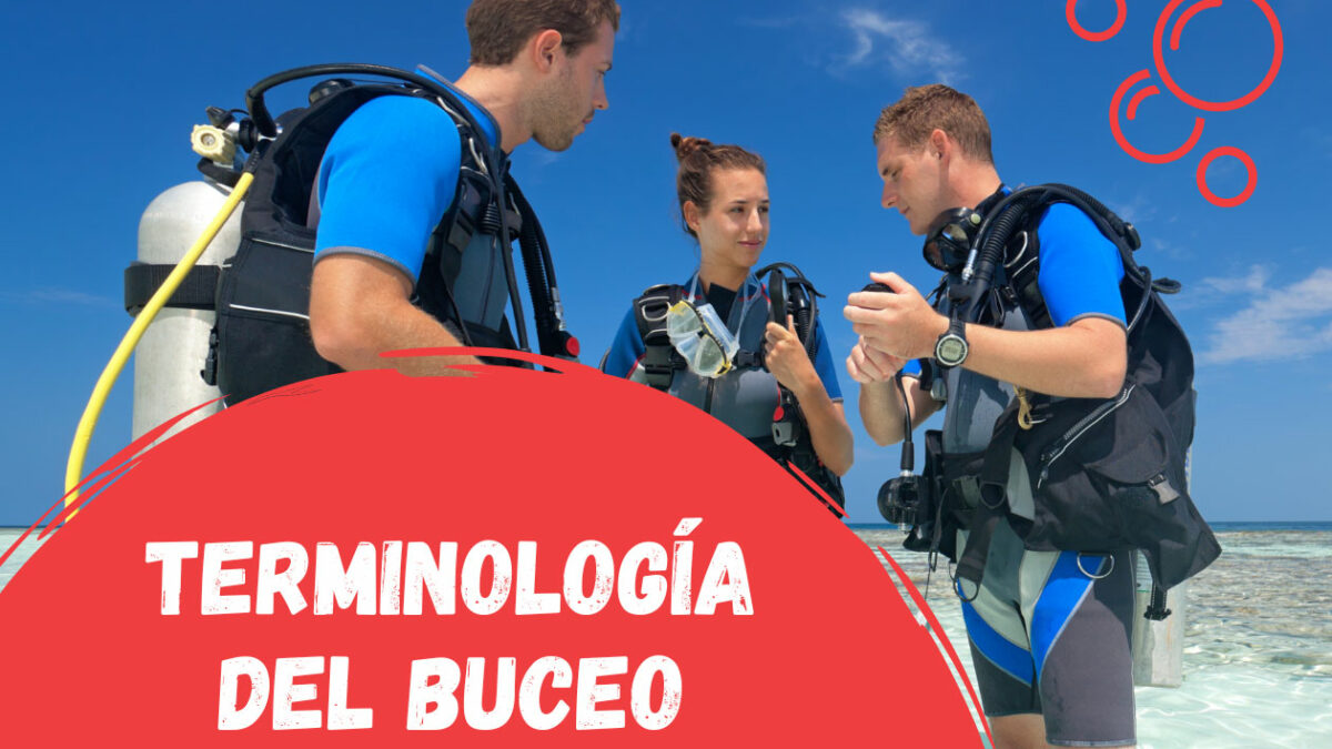 Terminolog a del Buceo Habla Como un Buzo