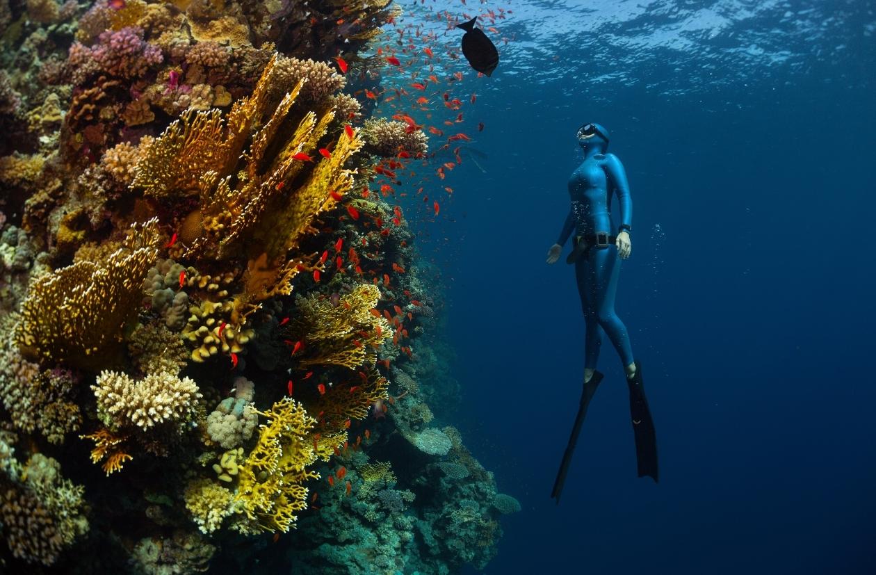 freediving umiejętności pływackie