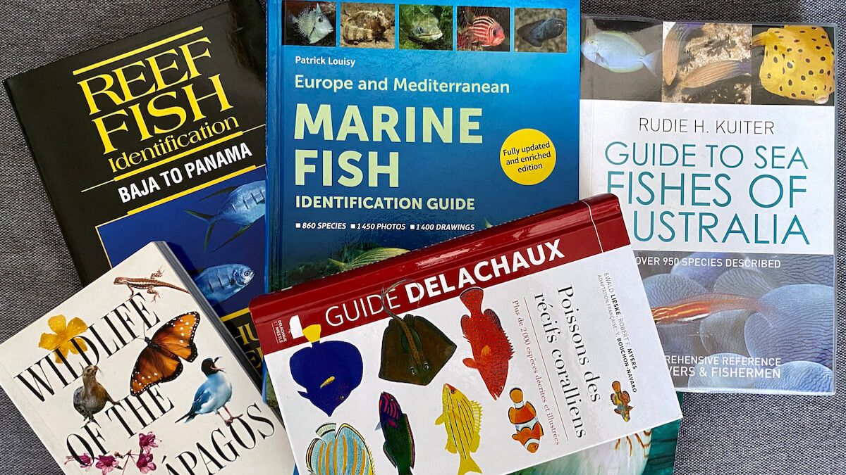 What Are the Best Gifts for a Scuba Diver? Expert Guide for 2026 » Costa Rica Divers Marine Life Identification Guides