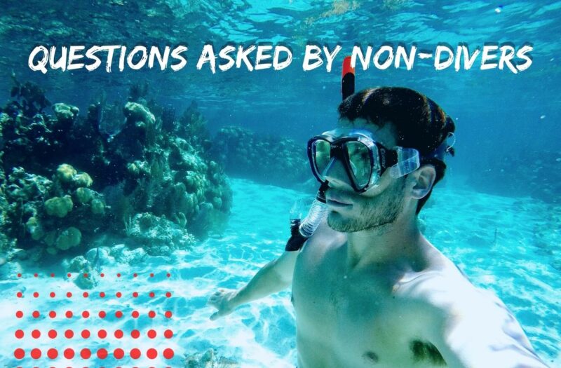 Questions asked by non-divers