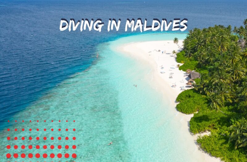 Scuba diving in Maldives
