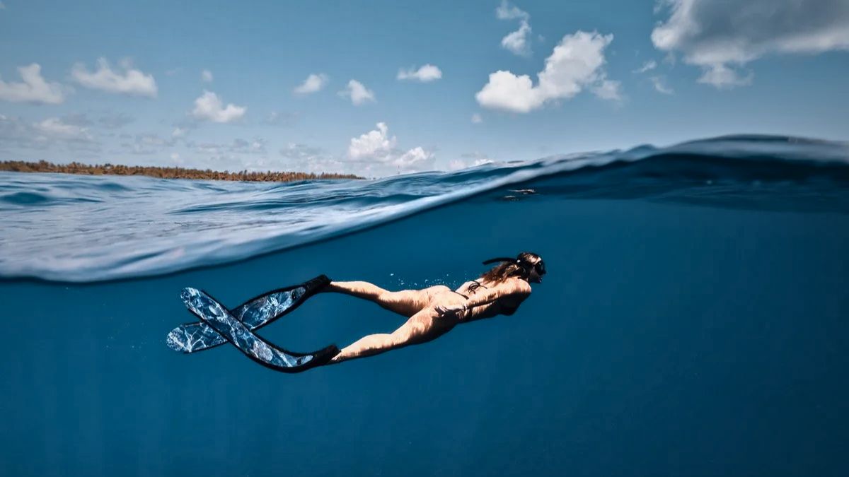 What Are the Best Gifts for a Scuba Diver? Expert Guide for 2026 » Costa Rica Divers What to Gift a Freediver Special Considerations