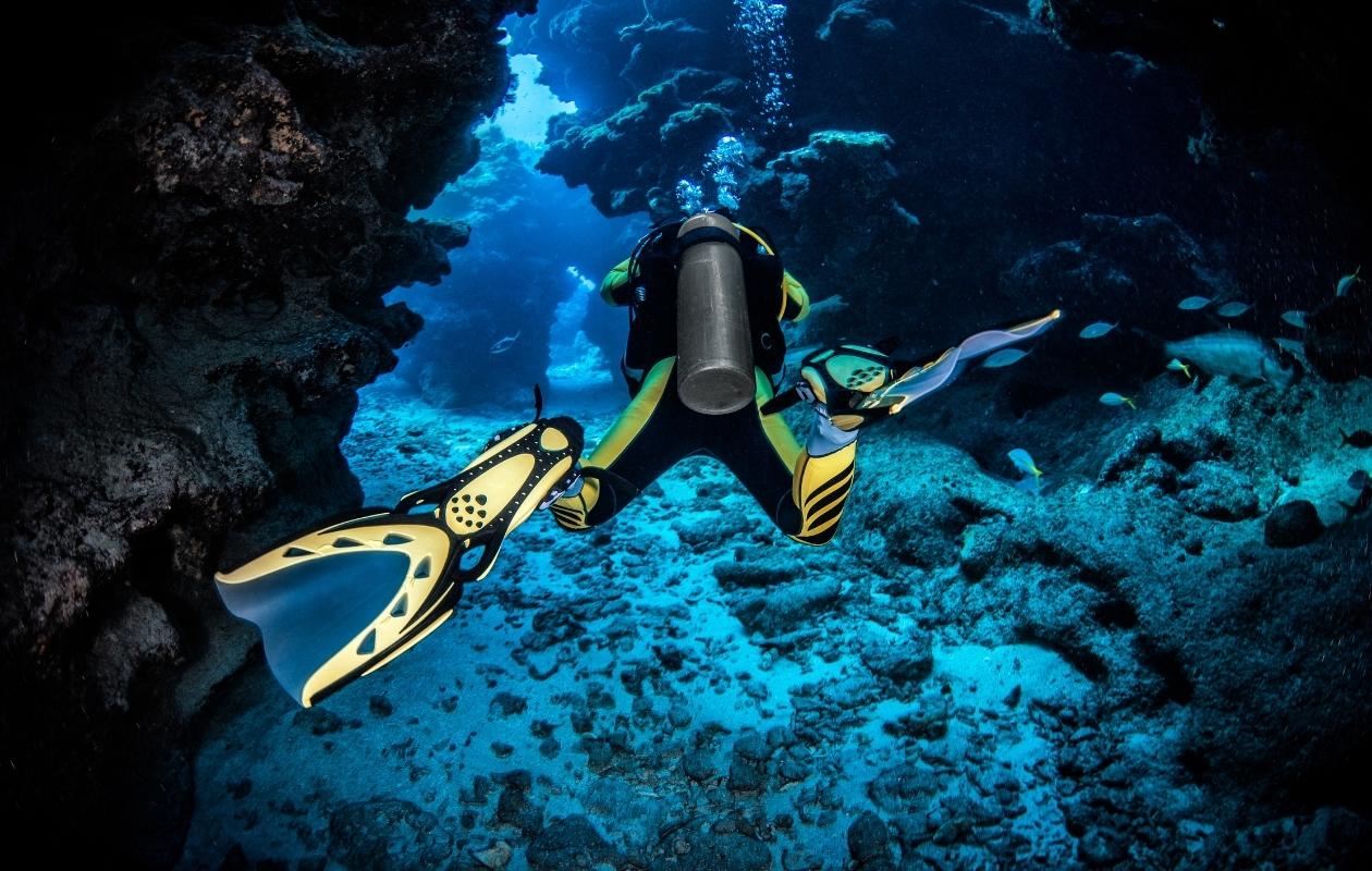 Why it's great to be a scuba diver?
