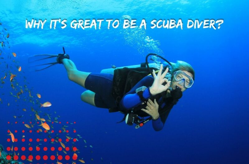 Why it's great to be a scuba diver