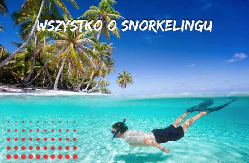 Snorkeling dla początkujących - wszystko co trzeba wiedziec