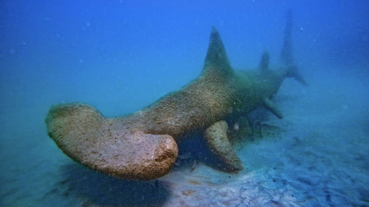 Underwater Museum in Costa Rica