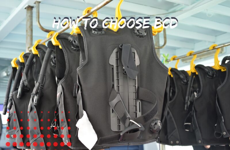 Which BCD will be the best for me
