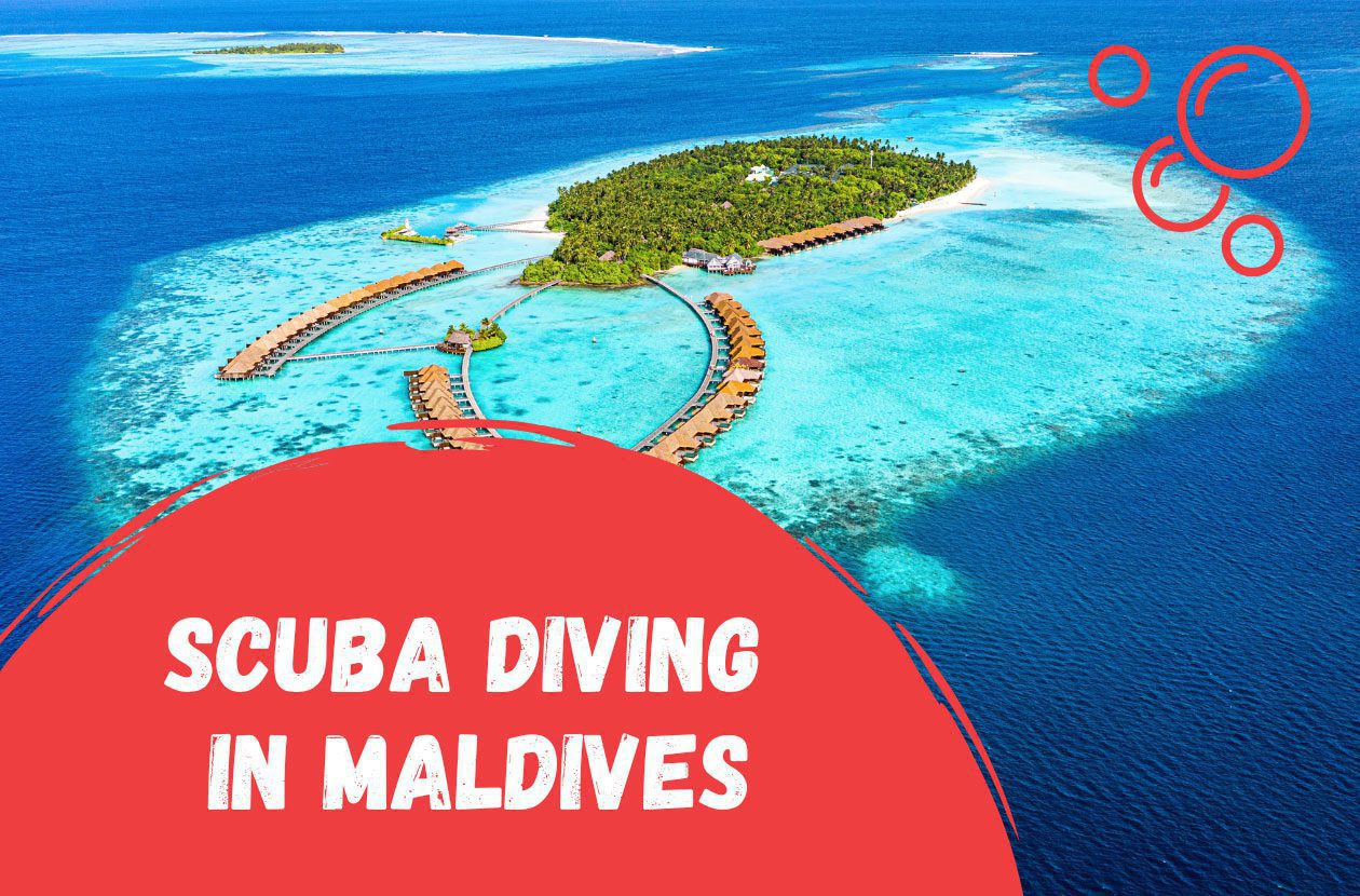 best-scuba-diving-in-maldives