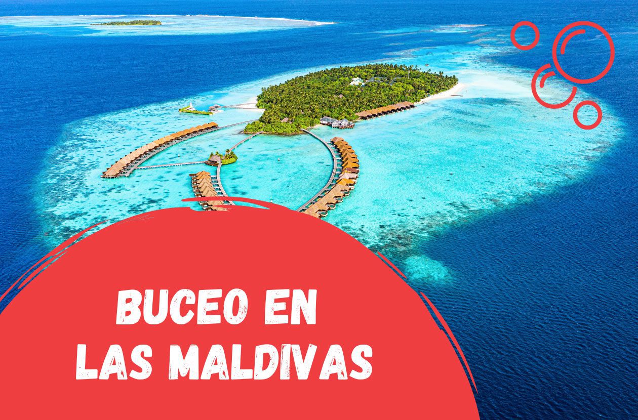 lo-mejor-buceo-en-maldivas