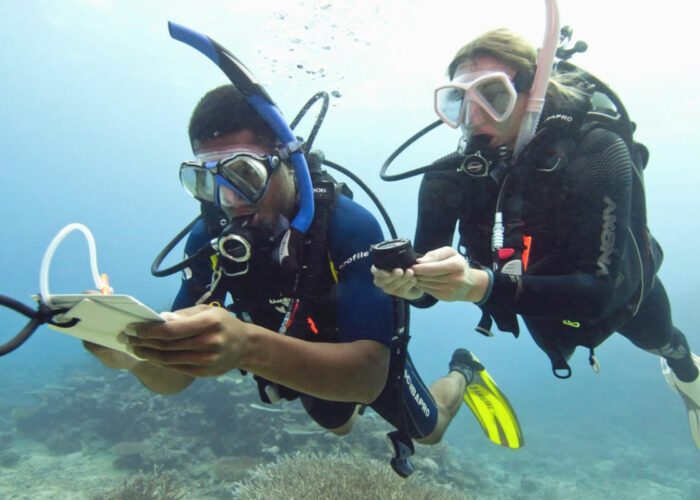 What to Expect on PADI Search and Recovery