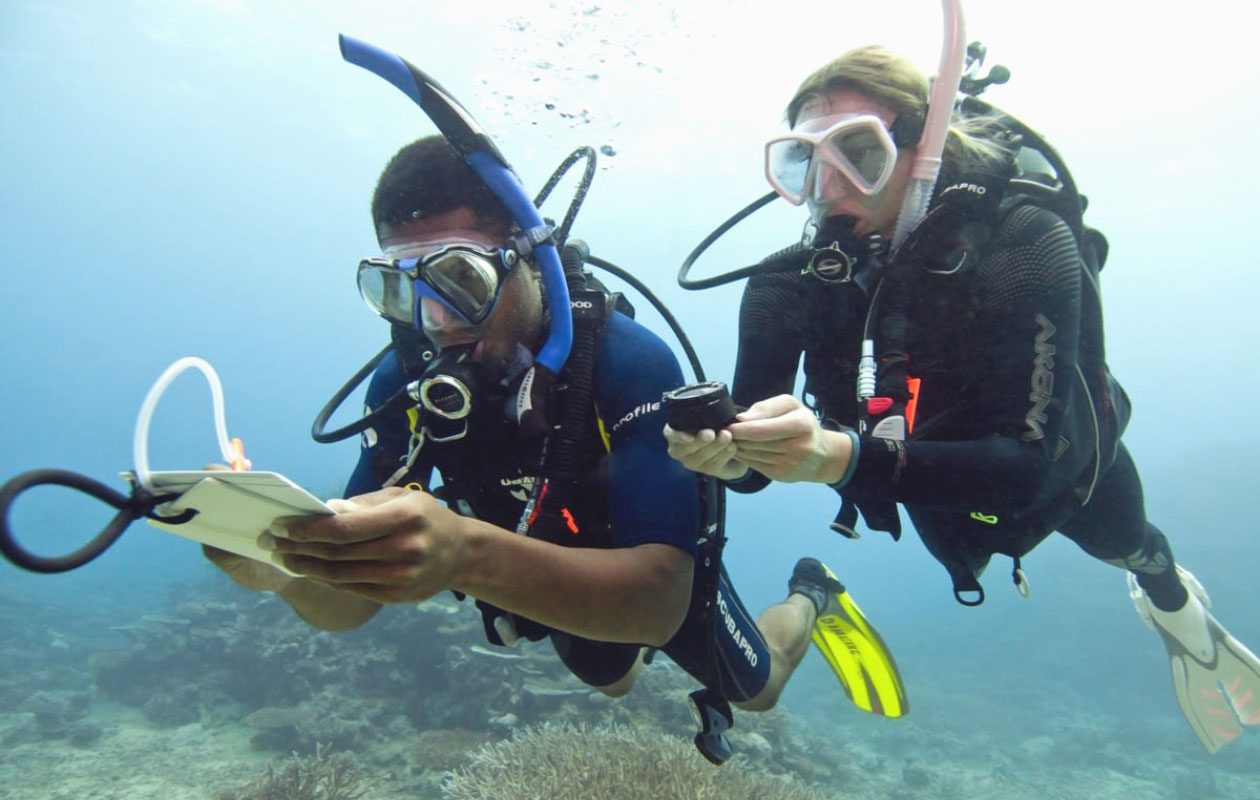 What to Expect on PADI Search and Recovery