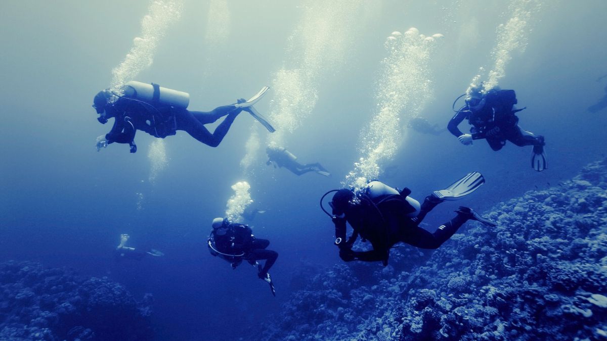 Underwater Navigation in Scuba Diving: How to Actually Find Your Way » Costa Rica Divers scuba diving in strong current