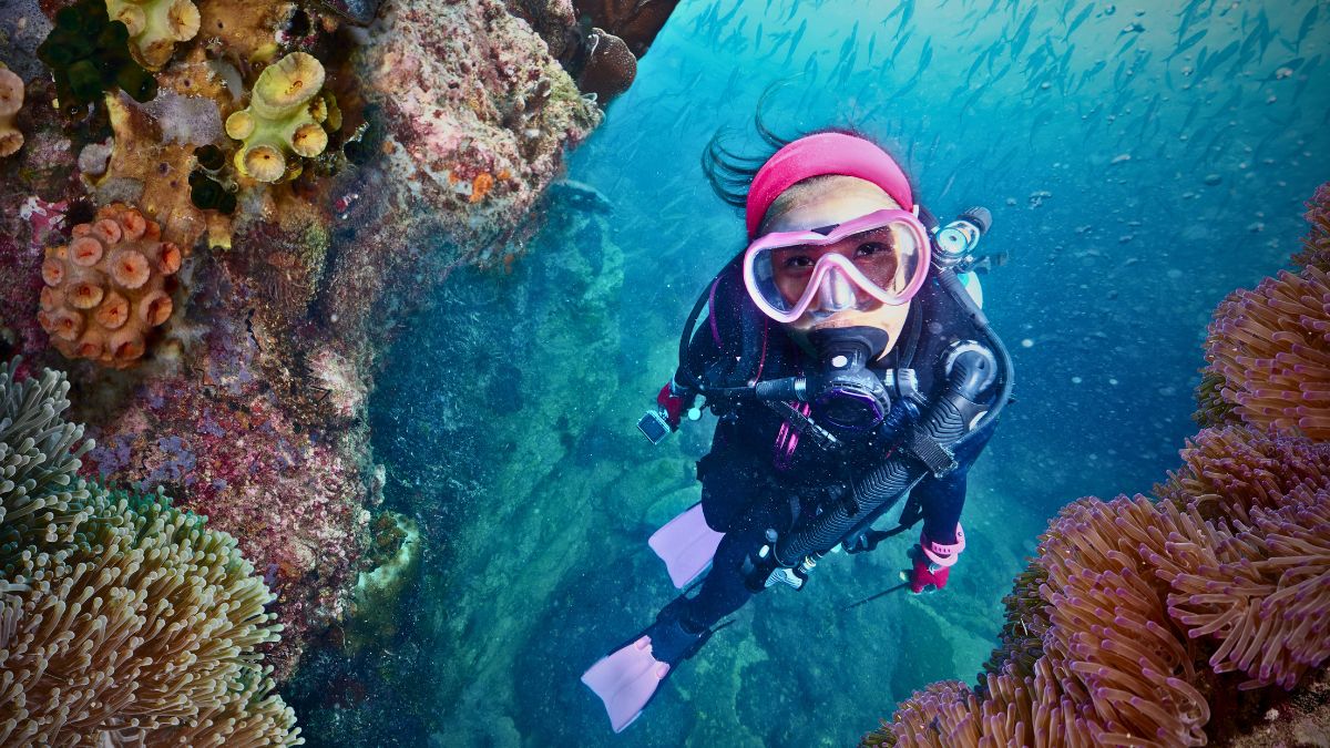 Person discovering underwater world for first time with sense of wonder looking at colorful tropical fish and coral in Costa Rica introducing scuba diving