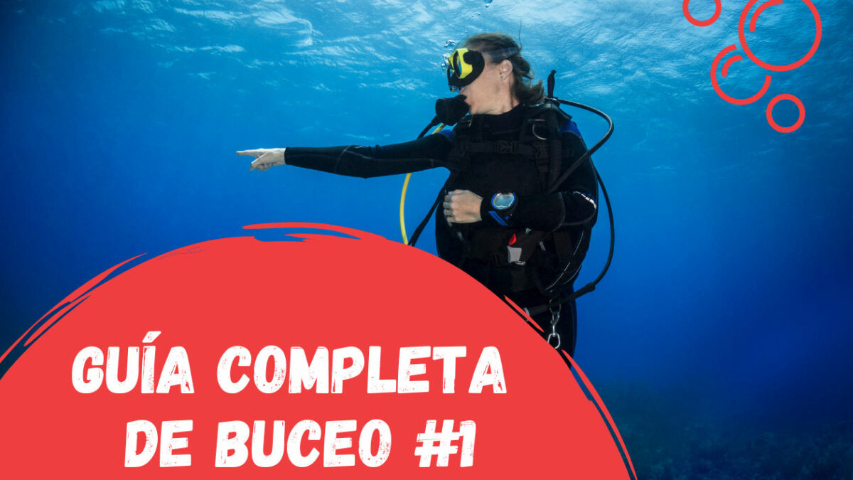 Tipos fashion de buceo