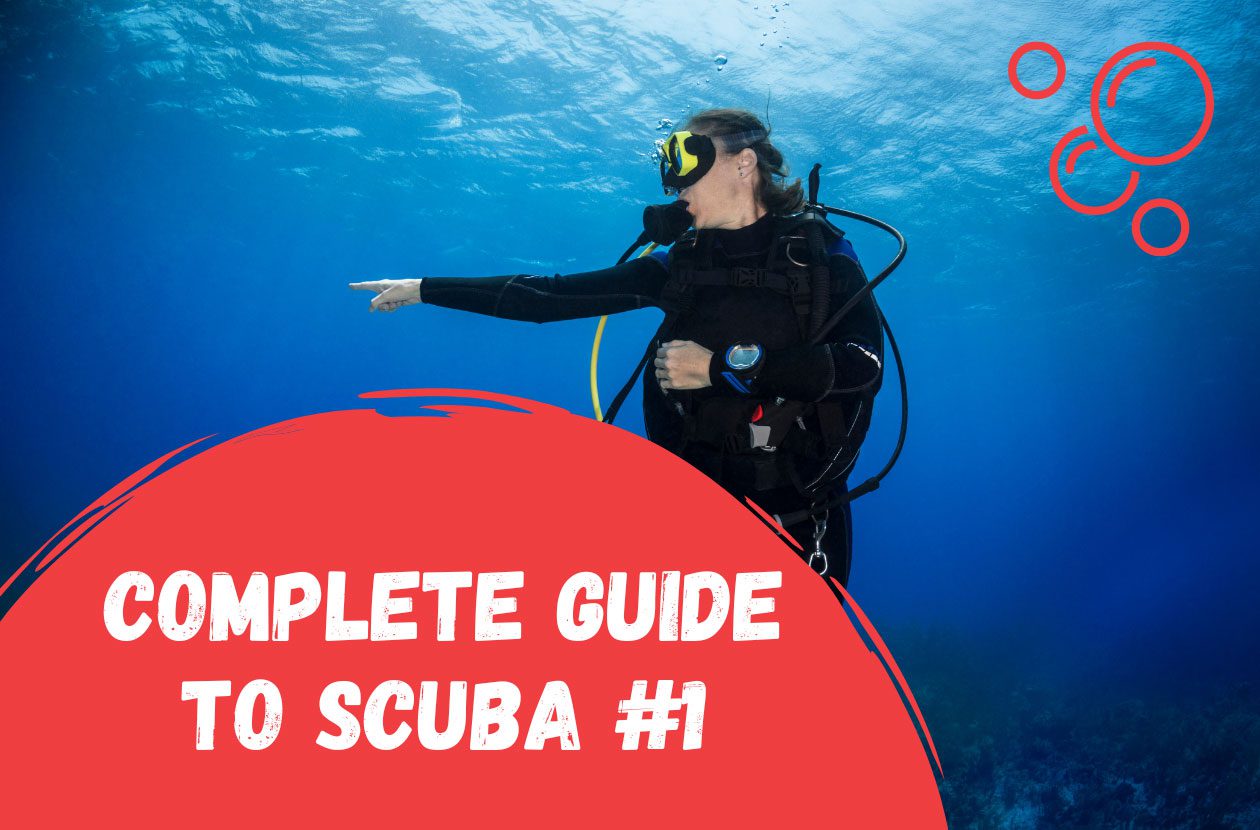 complete-guide-to-scuba-diving-1