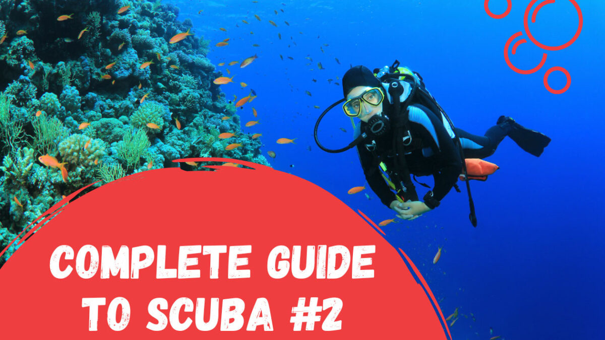 Guide to scuba diving