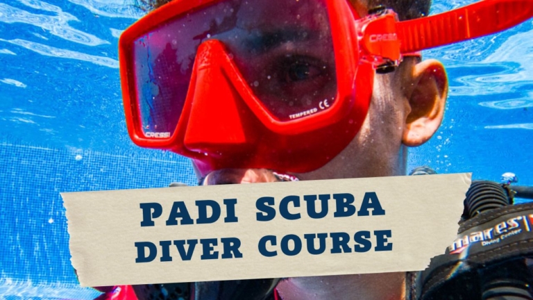 PADI Scuba Diver Course in Costa Rica