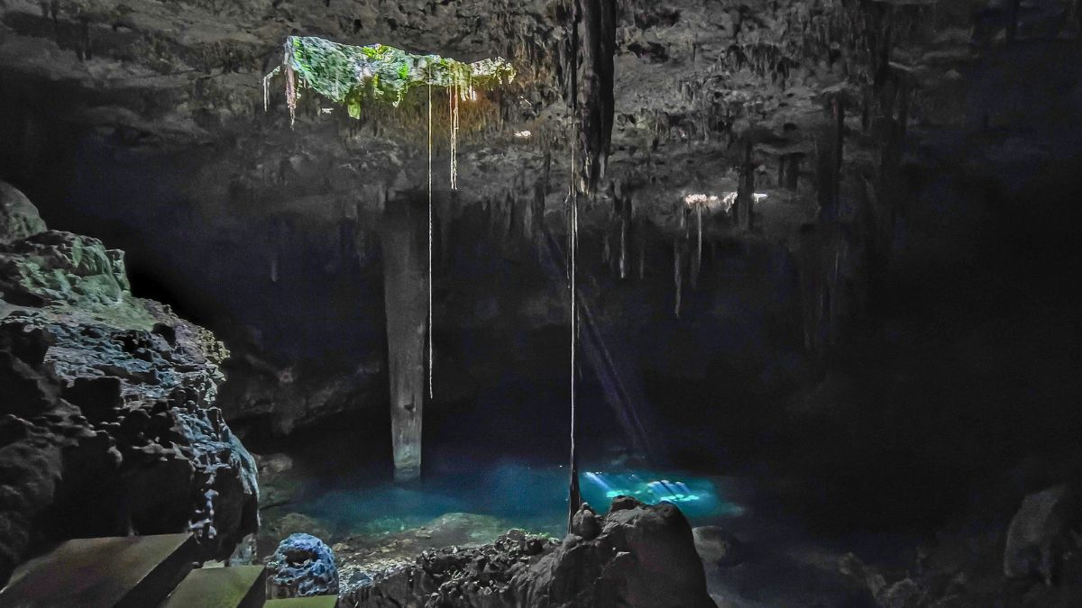 Diving in Cenotes: A Diver’s Guide to the Maya Underworld » Costa Rica Divers Yucatan Cenotes A Diver’s Guide to the Maya Underworld
