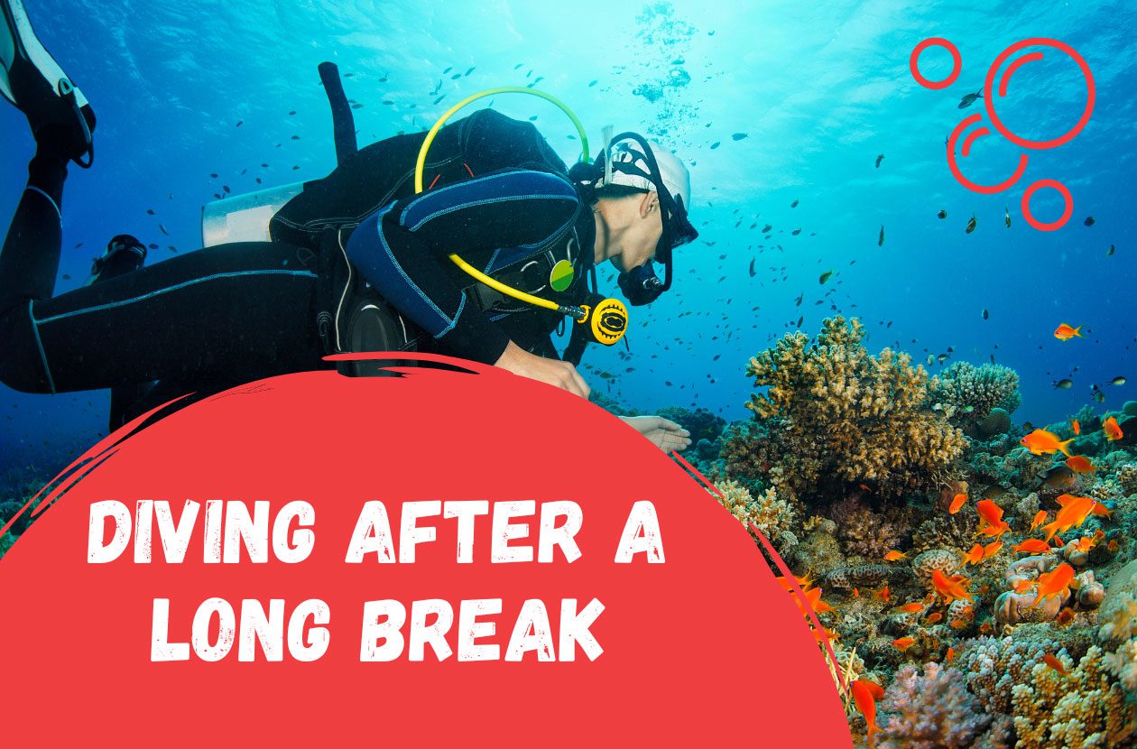 diving-after-long-break-how