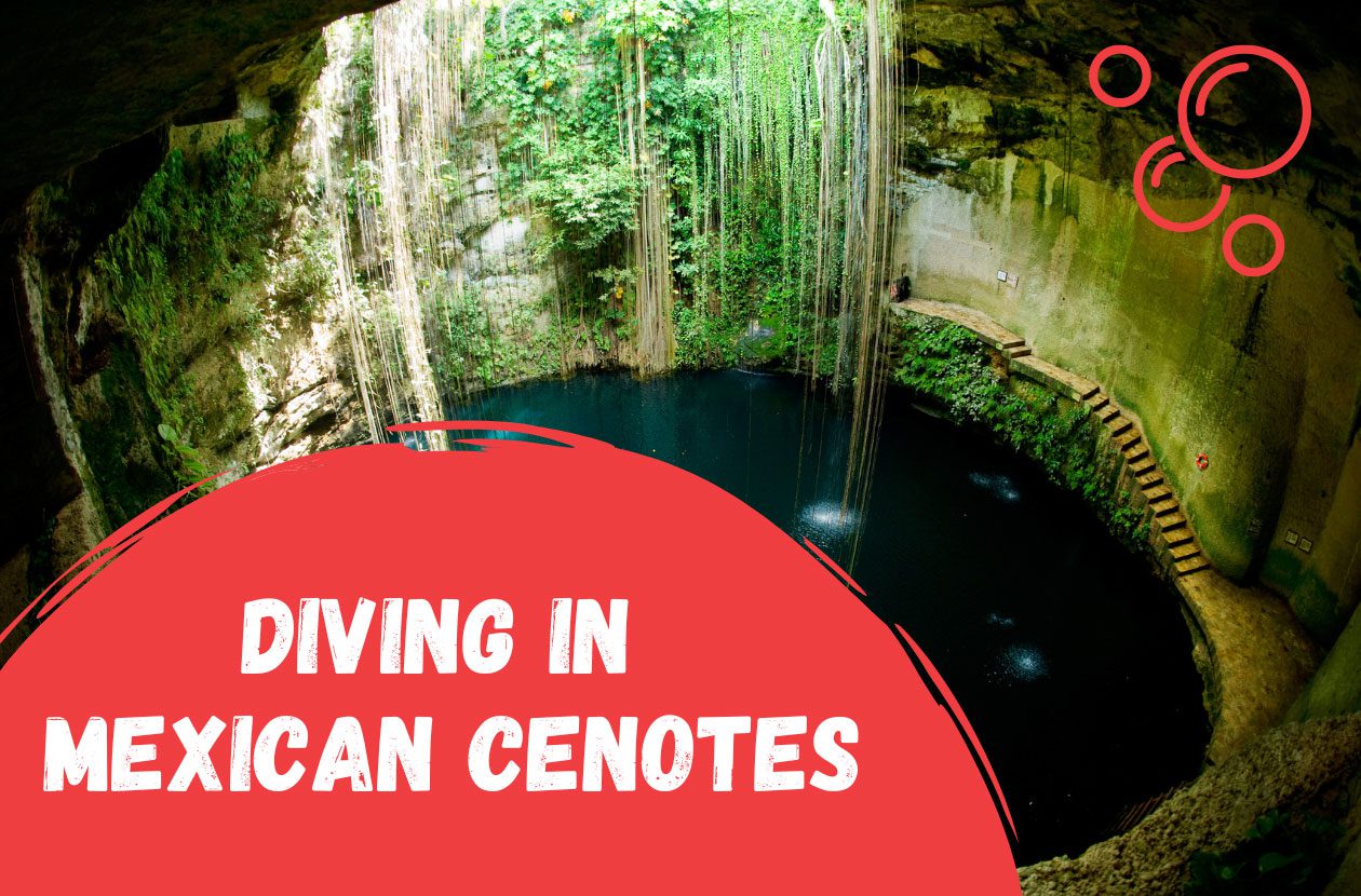 diving-in-cenotes-yukatan-mexico