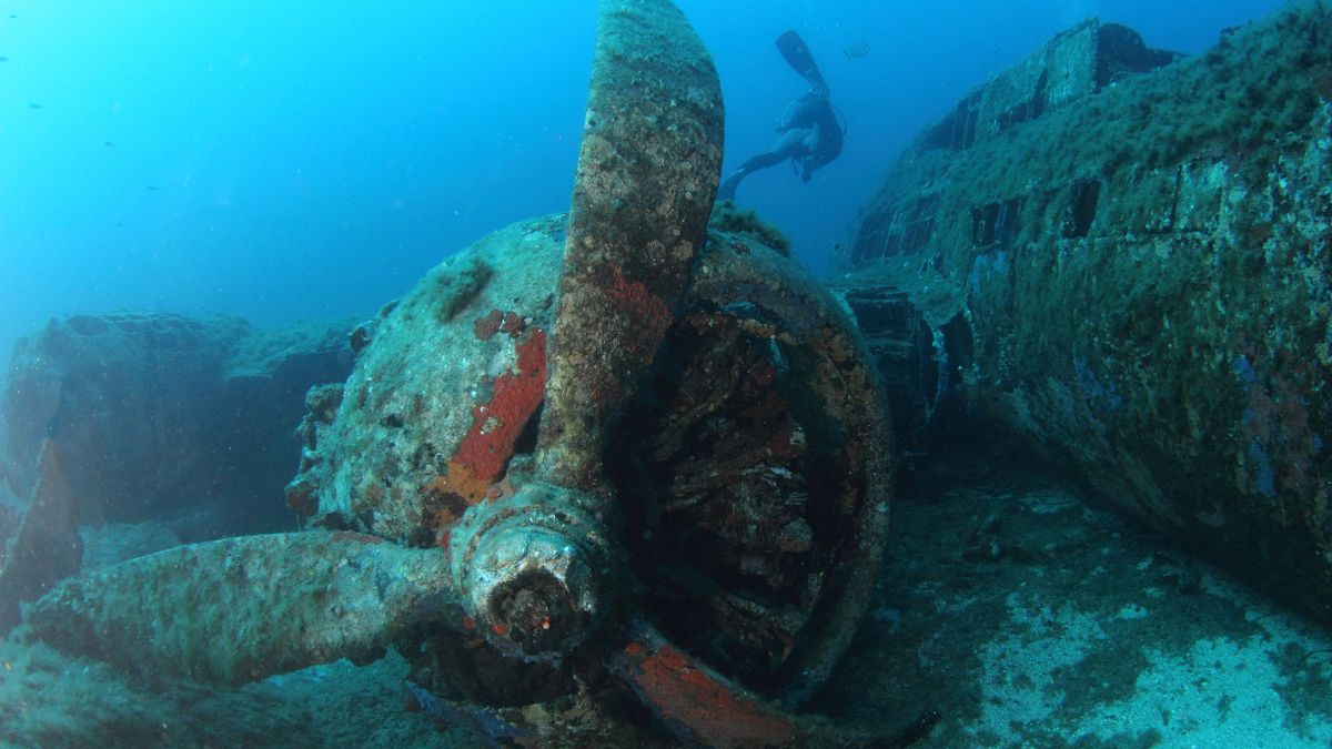 5 Best Places for Wreck Diving in Europe You Need to Explore » Costa Rica Divers B-17 Flying Fortress, Corsica wreck