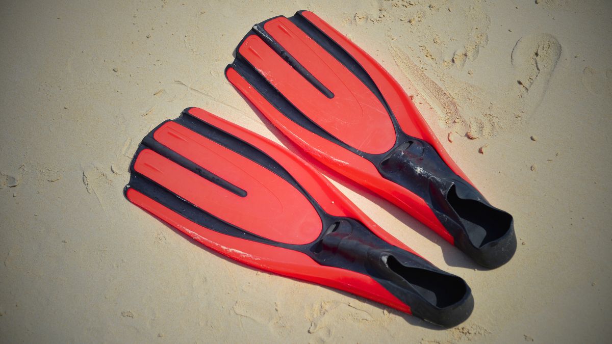Display of various scuba diving fins in different types and colors at Costa Rica dive shop showing selection options for purchasing fins