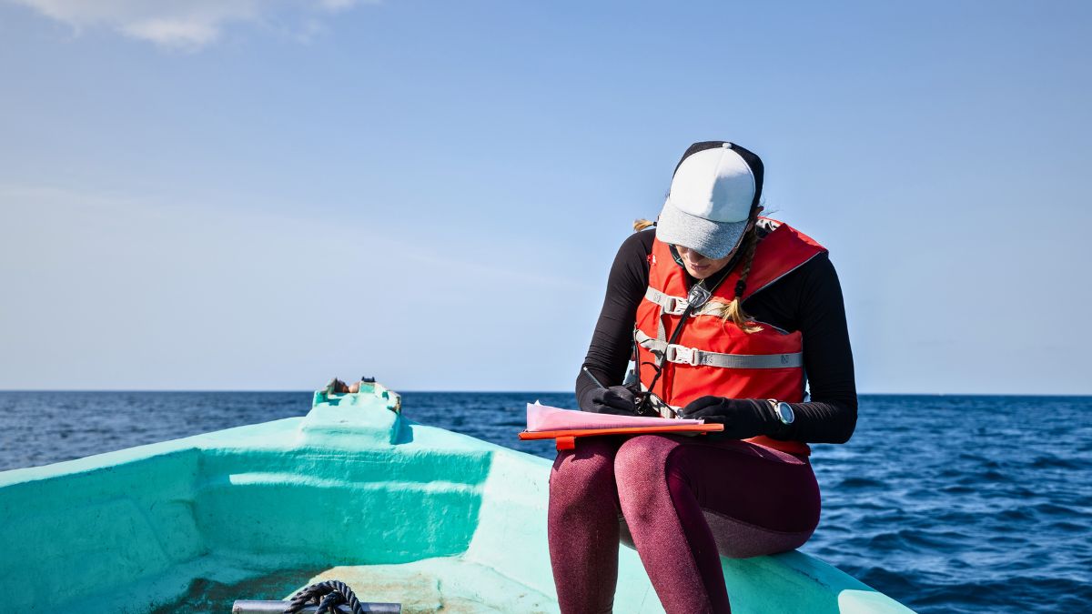 Jobs for Divers: How Can a Diver Make Money in 2026? » Costa Rica Divers Scientific and Research Diving Careers