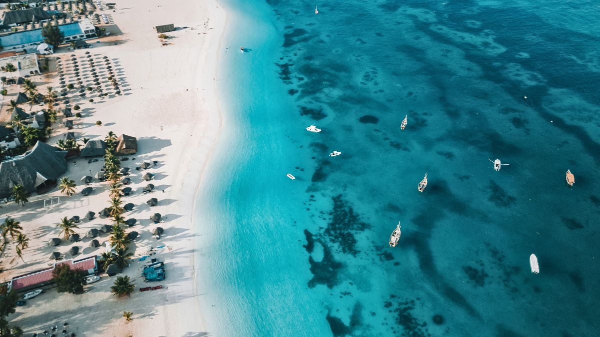 Scuba Diving in Zanzibar: A Practical Guide (The Good, The Bad, and The Tides) » Costa Rica Divers Scuba Diving in Zanzibar A Practical Guide The Good, The Bad, and The Tides