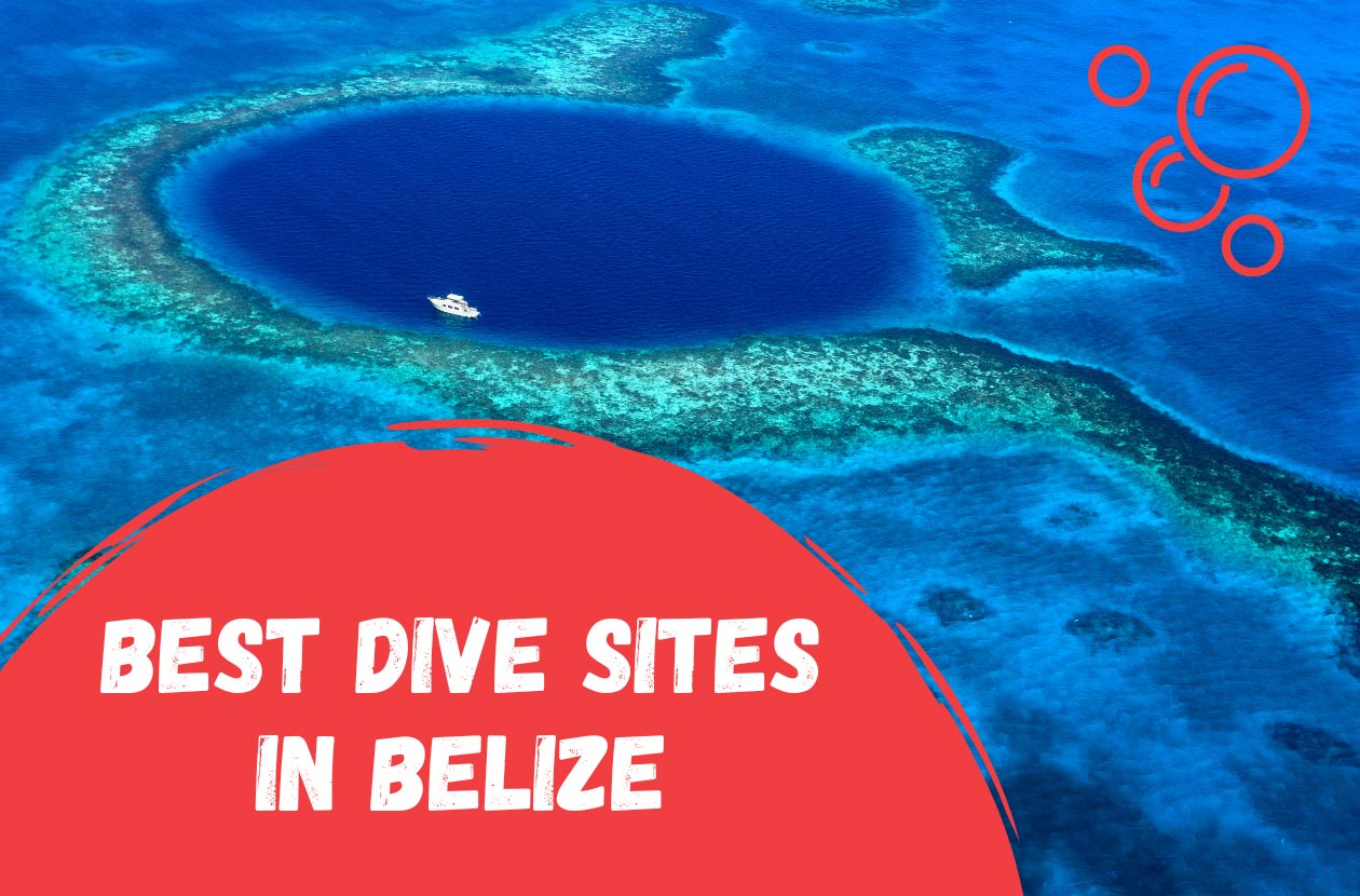 best-dive-sites-in-belize