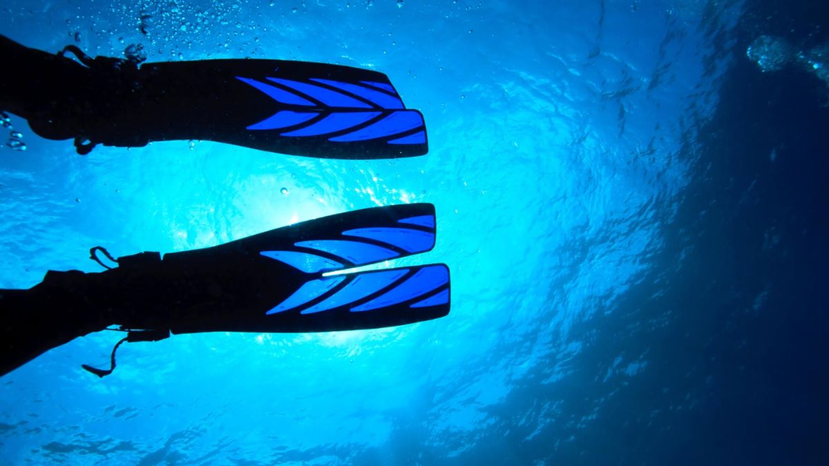 How to Choose Scuba Diving Fins: A Beginner's Complete Guide » Costa Rica Divers Scuba diver effortlessly gliding through water using split fins with visible water channels reducing resistance during kick cycle