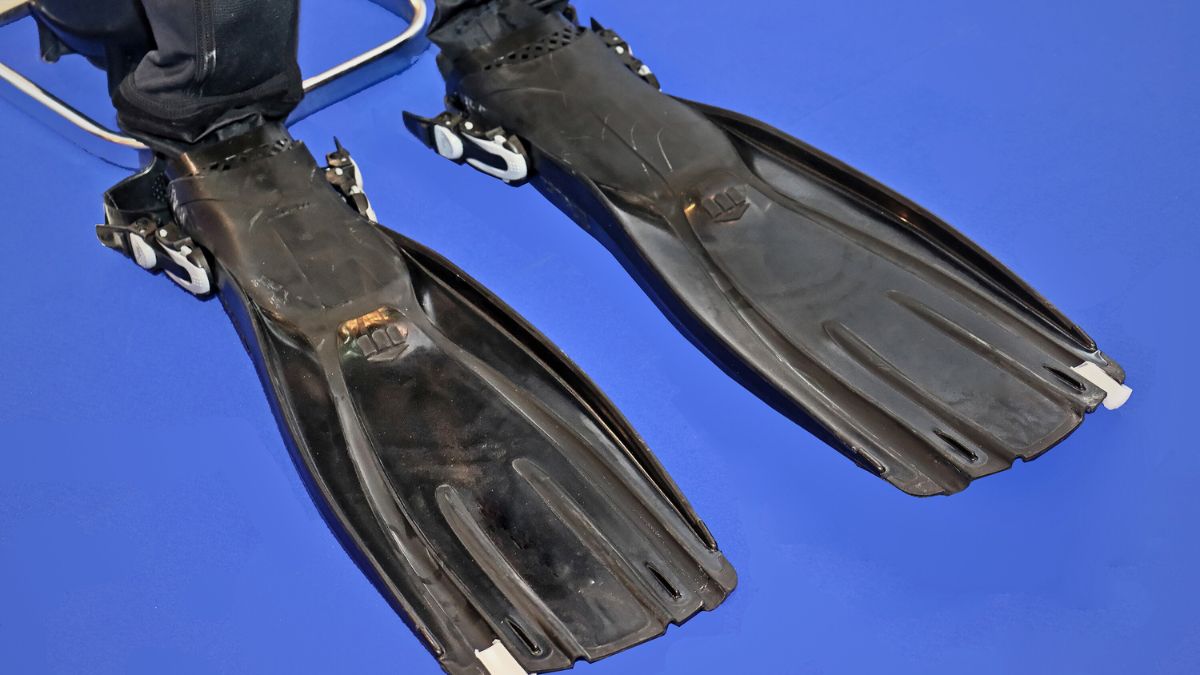 How to Choose Scuba Diving Fins: A Beginner's Complete Guide » Costa Rica Divers Diver demonstrating correct open heel fin fit with dive booties and proper strap adjustment