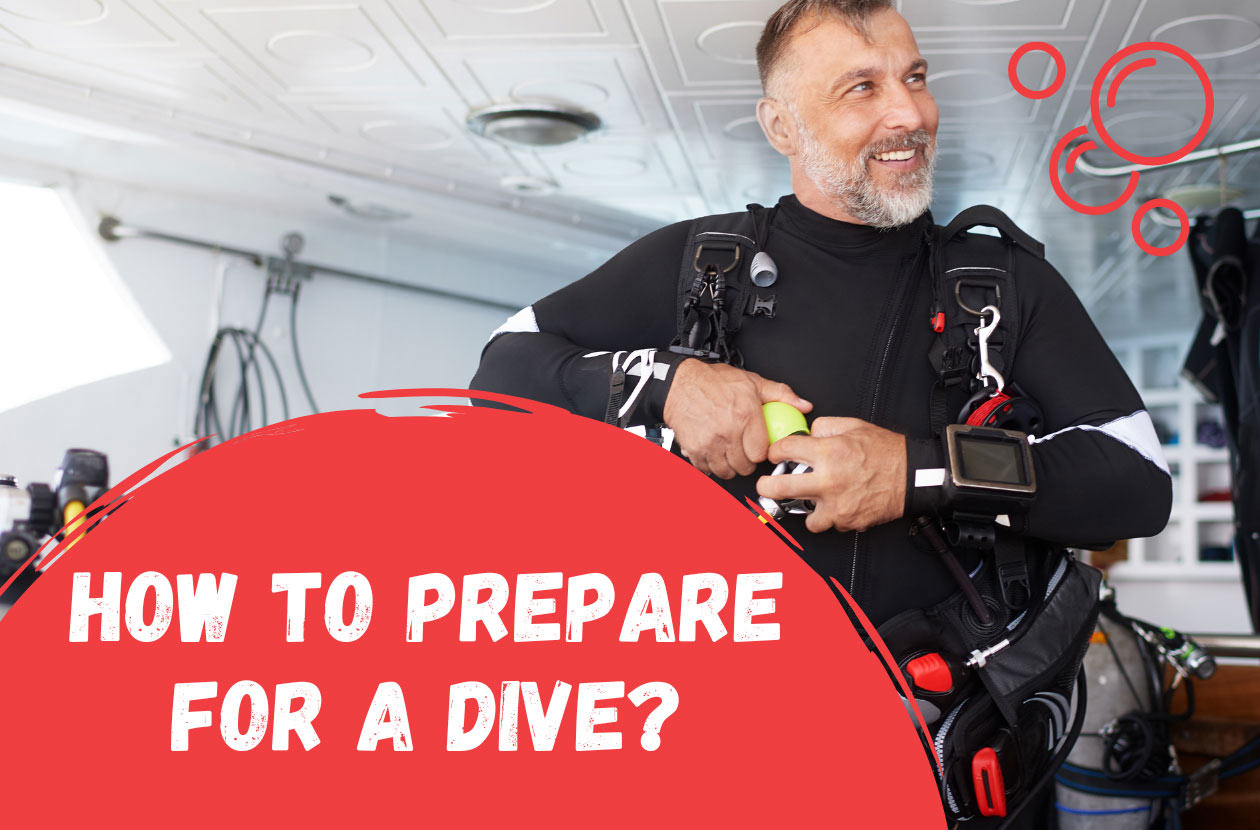 How to prepare for a dive The basics of having a good dive