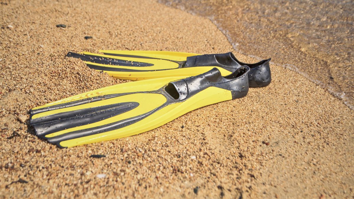 How to Choose Scuba Diving Fins: A Beginner's Complete Guide » Costa Rica Divers Guide on how to choose diving fins, advice from a diving instructor