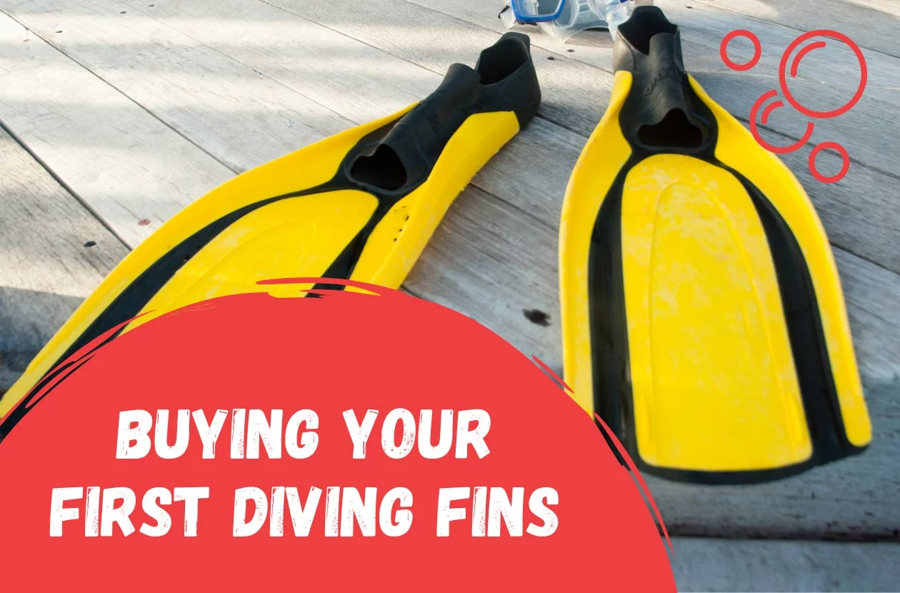 scuba-diving-fins-how-to-buy