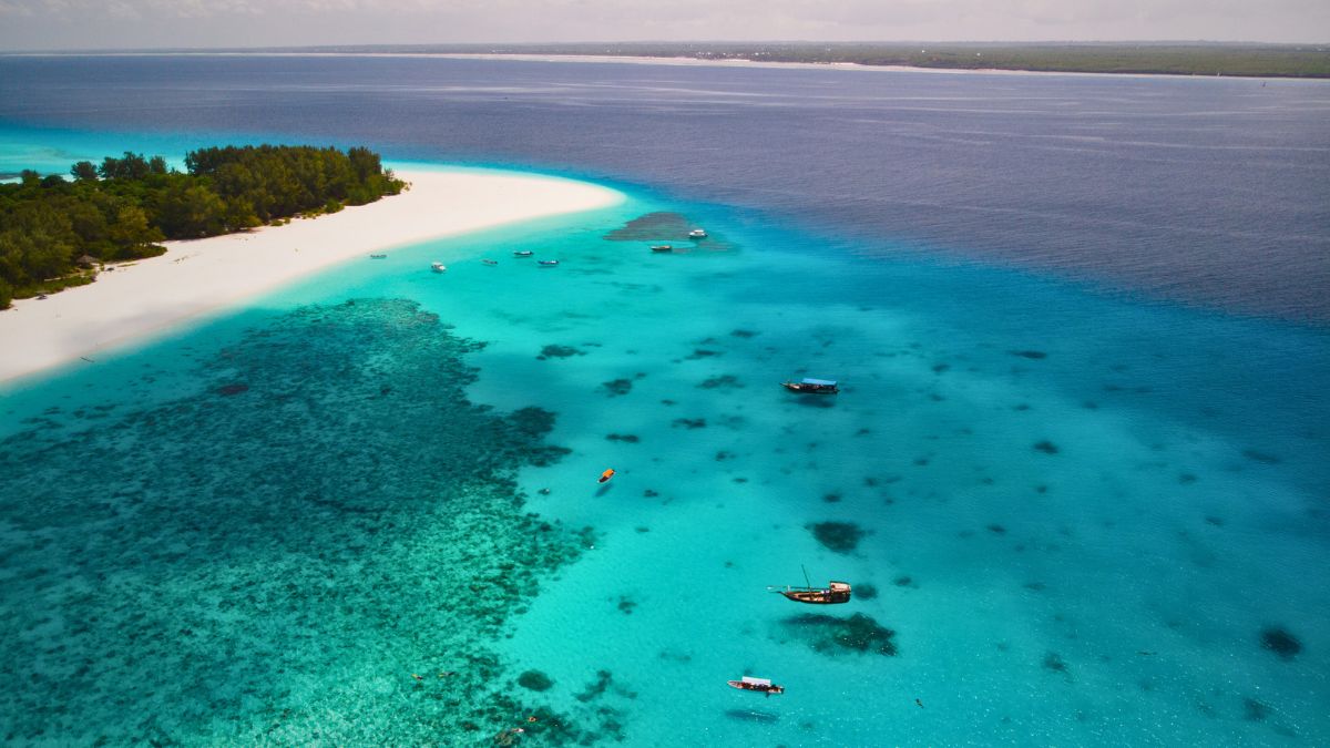 Scuba Diving in Zanzibar: A Practical Guide (The Good, The Bad, and The Tides) » Costa Rica Divers scuba diving in zanzibar at Mnemba Atoll